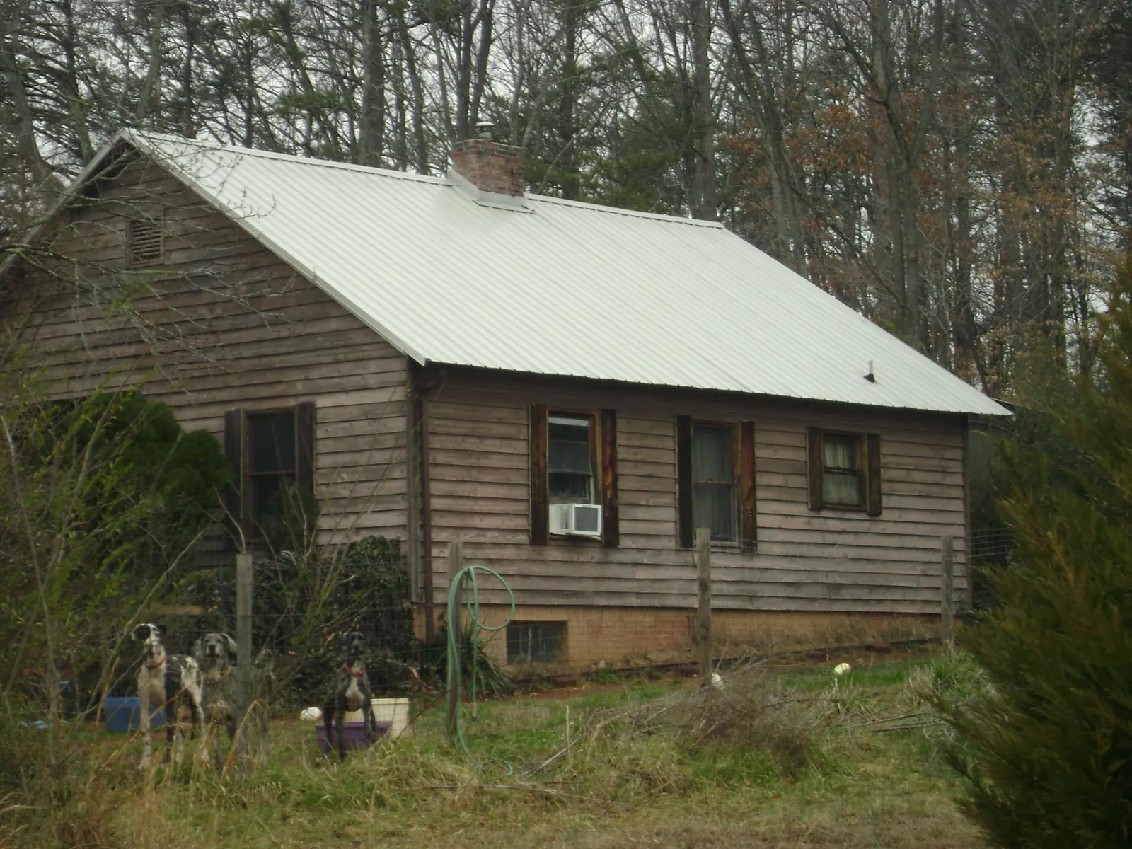 White metal roof on an old wood sided farmhouse, from a Asphalt Shingle Roof Repair job in Colona